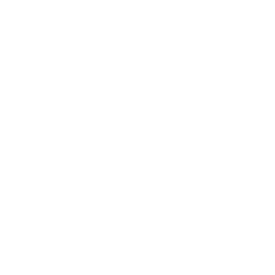 布拉格捷克语徽标